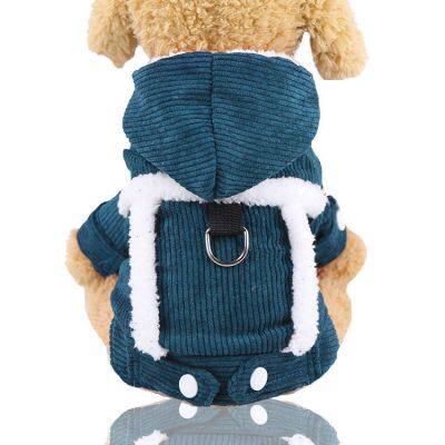 Winter Clothes for Small Dogs? Warmly Clothing