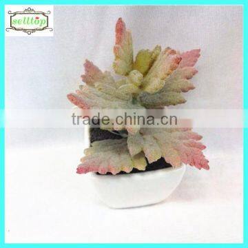 12cm new design hot sale cactus plant