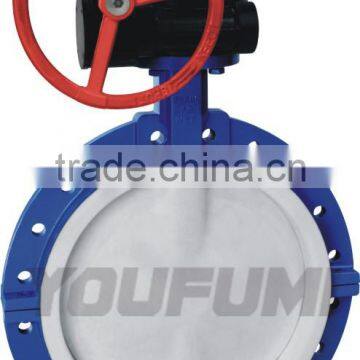 Worm gear PTFE lined Butterfly Valve DN500