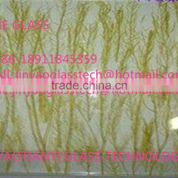 Wholesale  newest 2015 excellent safe glass wire reinforced