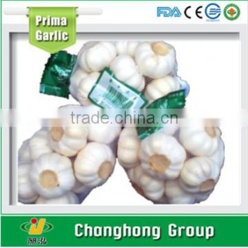 2016 hot sale fresh garlic to Mid- east market