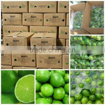 FRESH LEMON WITH BEST PRICE