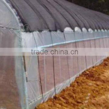 Cheap Plastic Film Tunnel Greenhouse