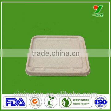 Hot sale SGS FDA customized food tray sugarcane bagasse bagasse pulp