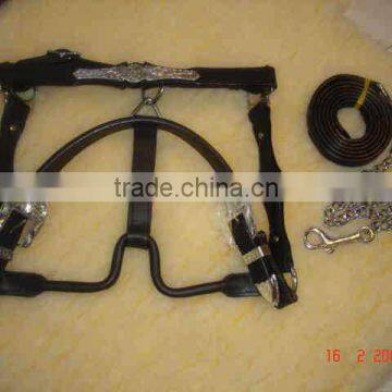 Horse halter