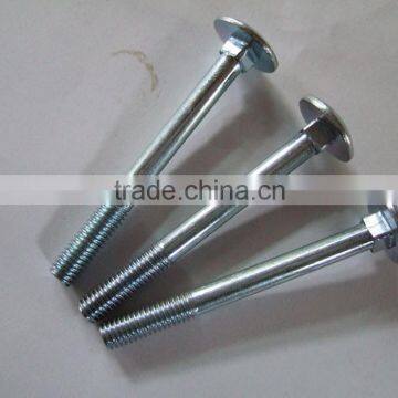 Full Threaded Carriage Bolts DIN603 photo-5