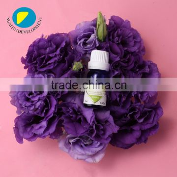 High Quanlity Bulk Wholesale Tea Tree Oil Extract TT OIL