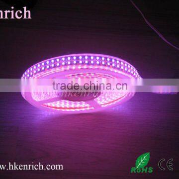 Waterproof Pink Led Strip light Long lifespan