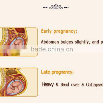 2016 Hot Selling Pregnancy Back Support Belt photo-3