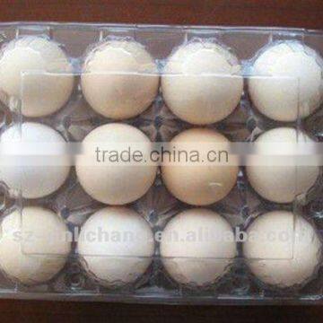 clear plastic egg packaging tray