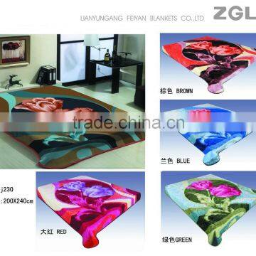 2015 NEW DESIGNS 1ply&2ply Raschel Quality Hot Compressed Embossed Raschel Korean Style Blanket NO.15019 photo-4