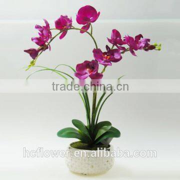 natural orchid touch effect pot flower orchid for indoor decoration