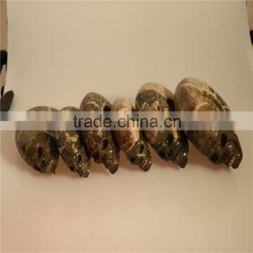 Best Selling Amazing Beautiful Natural Pretty Ammonites Skulls for Wholesale photo-5
