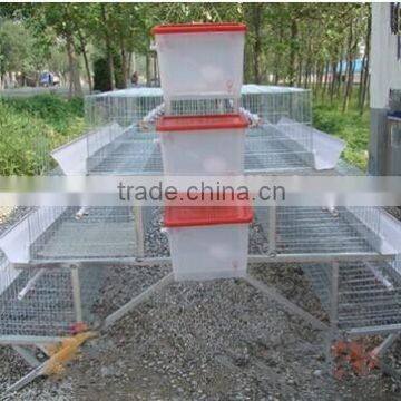 quail cage/poultry battery cages/quail layer cages for sale