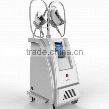 Guangzhou BL HOT SALE Vertical Spa Use Cryolipolysis Fat Freezing Weight Loss Machine for Sale