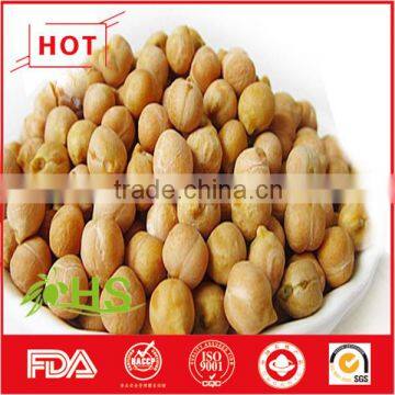 Chinese chickpea with high quality for sale