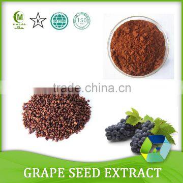 100% natural Grape Seed P.E. / Grape Seed Extract (p.e.)powder