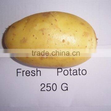 Price of Fresh Potato From Shandong Farmland