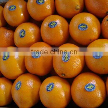 2012 nanfeng baby mandarin 10 kg basket box package