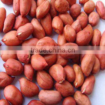 Red skin Peanut kernel 40/50 50/60