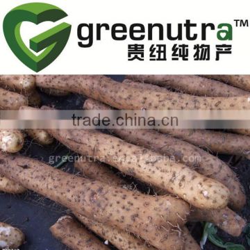 Common Yam Rhizome Dioscoreae Extract Powder