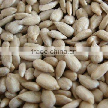 surpplying sunflower kernels for distributors wholesalers