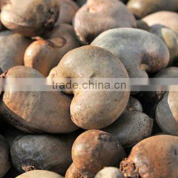 Dried Raw Cashew Nuts