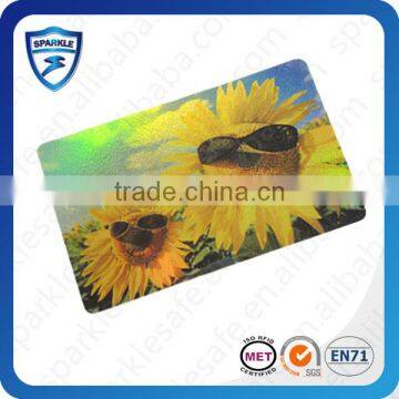 Hot sell blank passive rfid cpu smart card