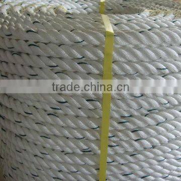 Blue and White Nylon Rope