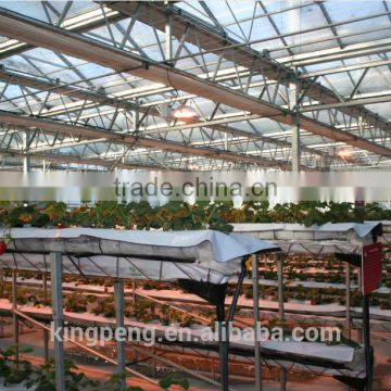 Venlo tempered glass/float glass greenhouse with hydroponic growing