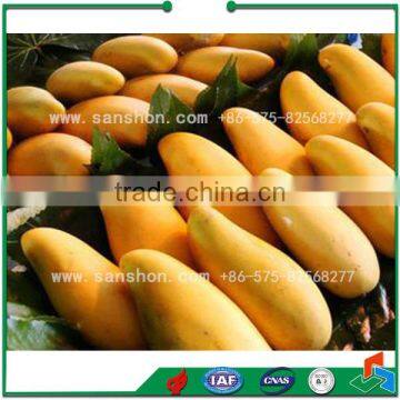 RSJ Model Roller Grading Machine photo-5