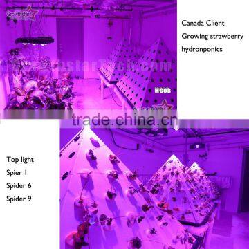 Factory 2016 3 Years Warranty 810 Watt COB Led Grow Light photo-6