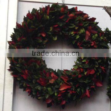 Decorative preserved holly leaves wreath