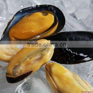 frozen blue mussel meat with half shell