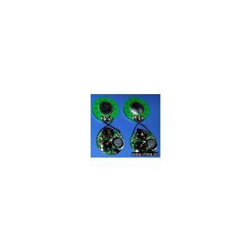 voice module