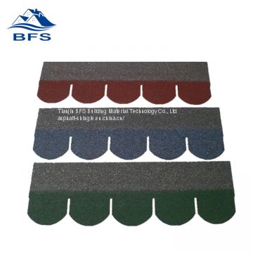 colored fish scale shingles