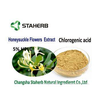 Honeysuckle Flowers Chlorogenic Acid Extract Light Yellow Powder