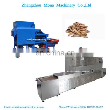 Microwave Tenebrio Molitor Drying Machine Insect Mealworm Dryer Continuous Mesh Dryer Fish Shrimp Dryer