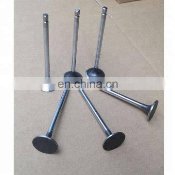 Diesel Engine Spare Parts ISDE Engine Valve 3940735 3940734