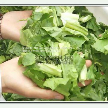 Small Vegetable Spinner Fruit Dehydrating Machine Vegetable Processing Machine photo-2
