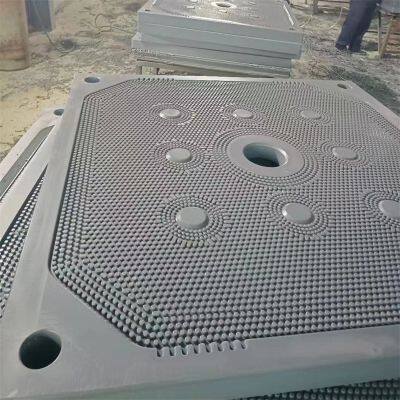 Hot Sale Laboratory Use Polypropylene Filter Press Plate photo-4