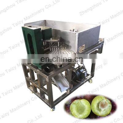 Peach Pitting Machine Lychee Pitting Machine Fruit Plum Seed Remove Machine photo-2