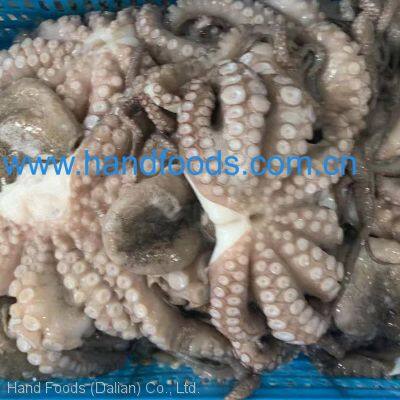 Frozen Fully Cleaned Gaint Octopus photo-4
