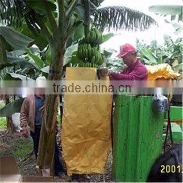 Banana Protection Bags/growing Bags for Fruit photo-2