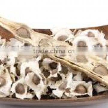 Quality High Moringa Seed powder Bulk Producers