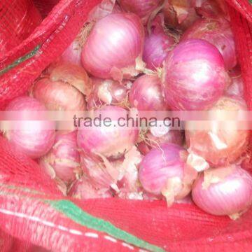 2015 New Crop Good Quality of the Onion photo-2