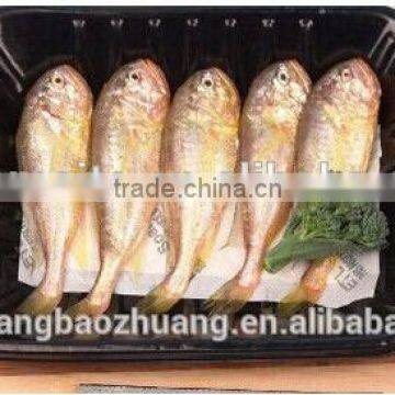 Professional Manufacturer&Exporter Different Types Plastic Fish Box