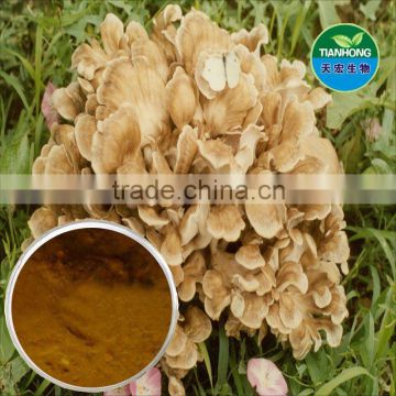 Pure Natural Grifola Frondosa Extract /Polysaccharide