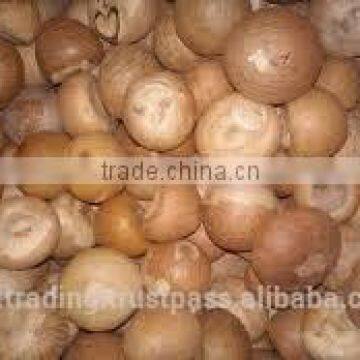 Betelnut Premium Quality photo-3