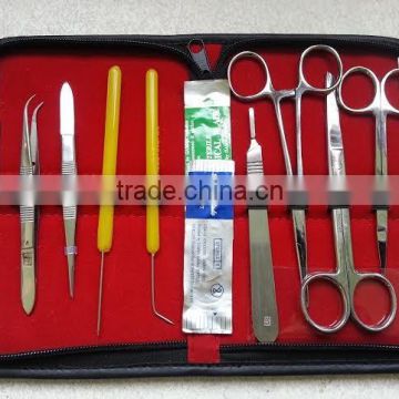 Stalization Cheap Price Minor Surgical Kit with Disposable Sterile Dissecting Tools